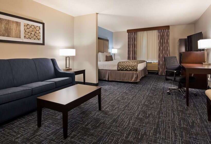 فندق Best Western Plus Flint Airport Inn & Suites