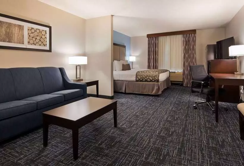 هتل Best Western Plus Flint Airport Inn & Suites