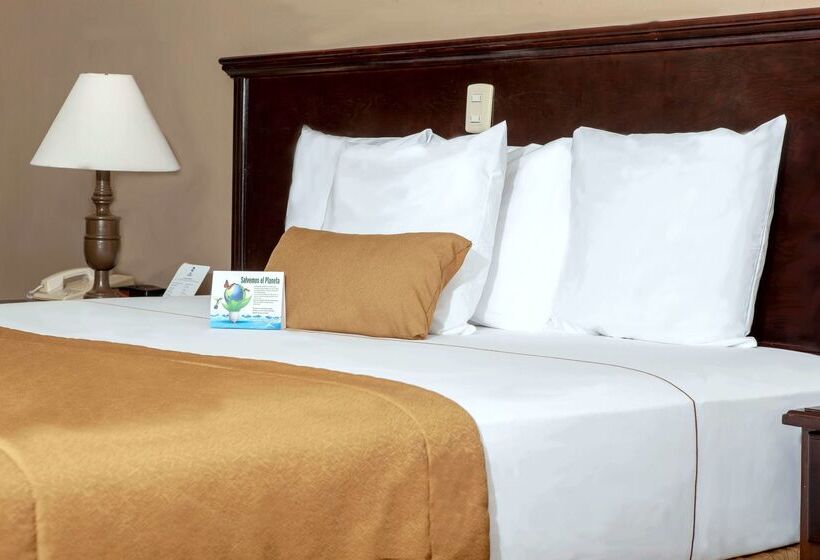 Best Western Hotel Posada Del Rio Express