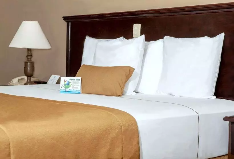 Best Western Hotel Posada Del Rio Express