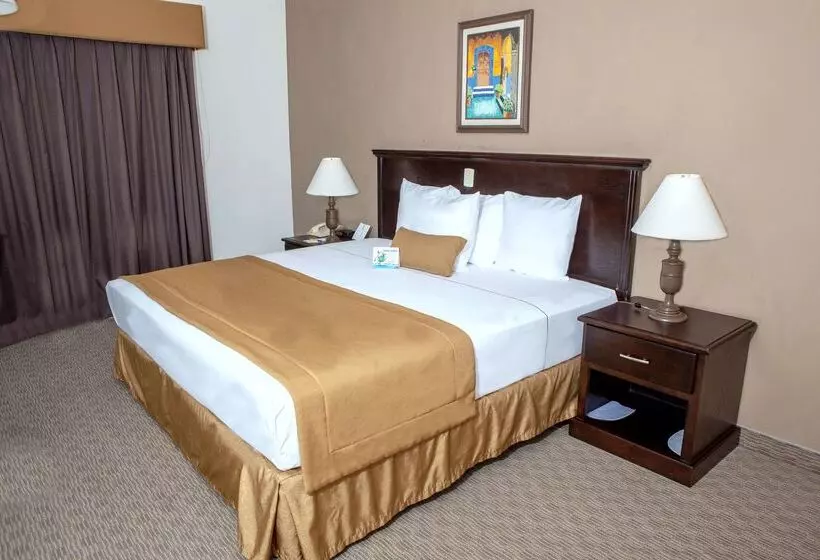 Best Western Hotel Posada Del Rio Express