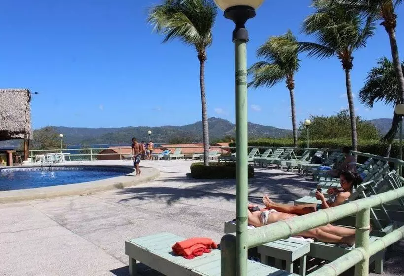 فندق Flamingo Marina Resort