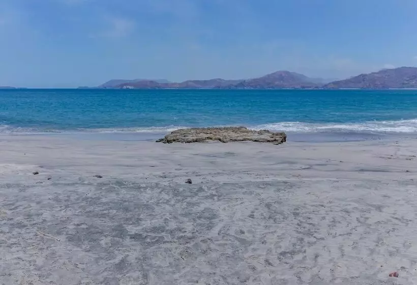 فندق Flamingo Marina Resort