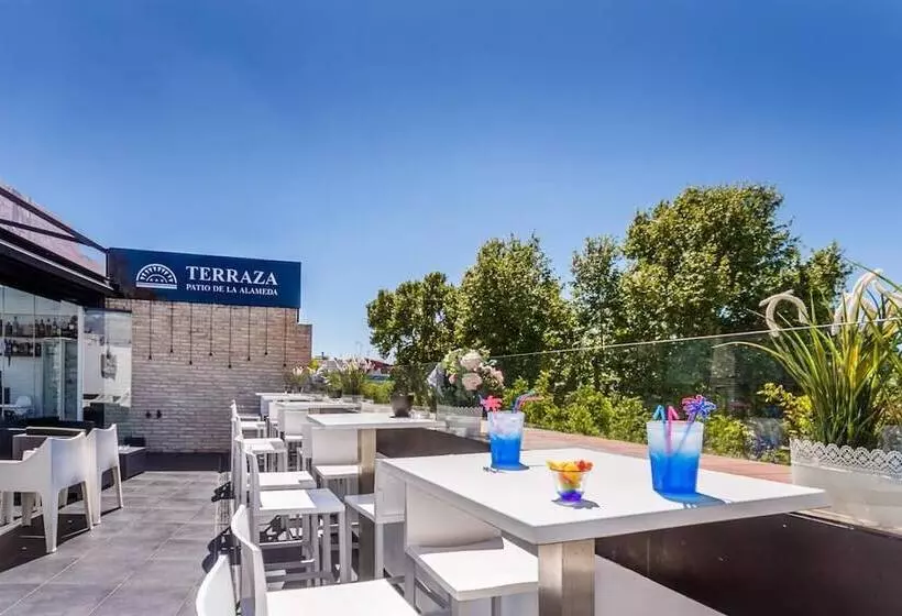هتل Patio De La Alameda