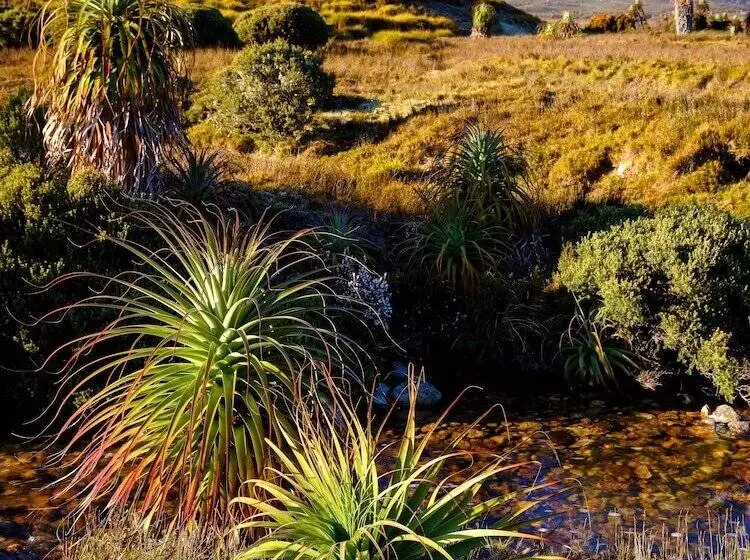 Отель Peppers Cradle Mountain Lodge