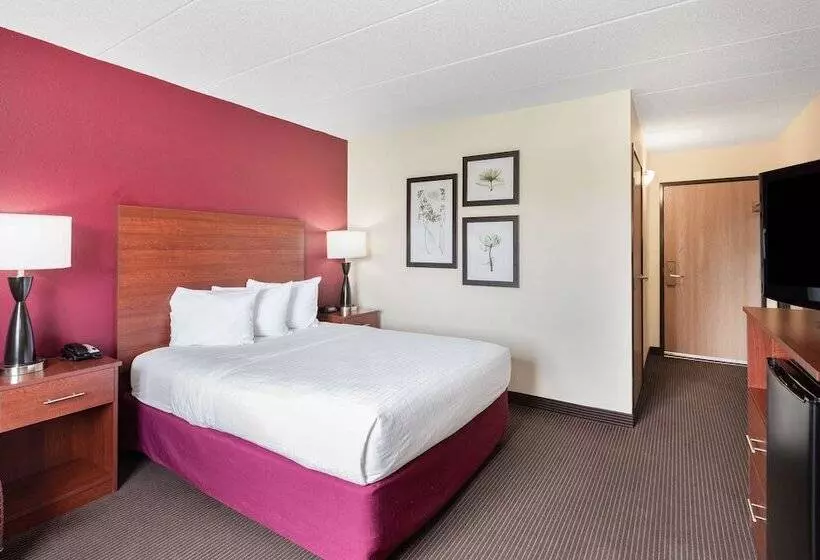 Surestay Plus Hotel By Best Western Litchfield