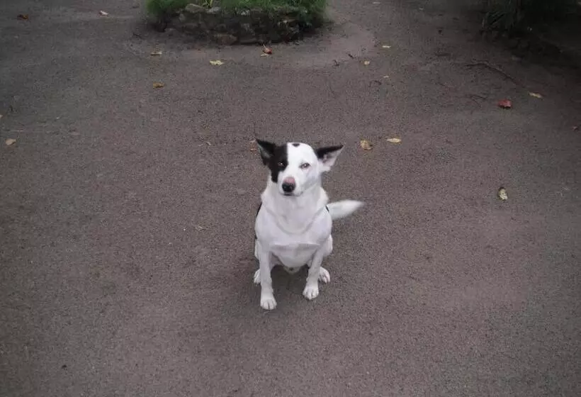 Retkeilymaja Playa Paraiso En Magante