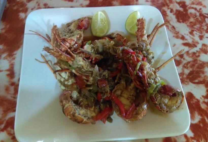 ユースホステル Playa Paraiso En Magante