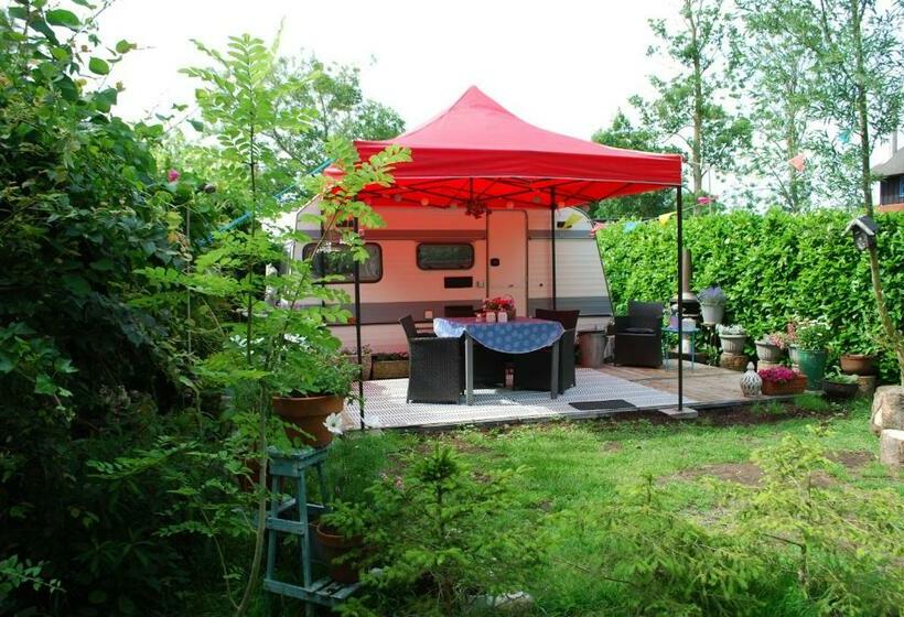 B&b öland Caravan Juf Jansen