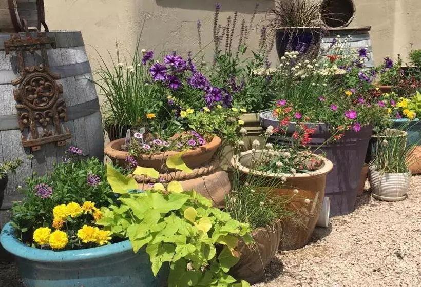 Aamiaismajoitus (B&B) Casa Colina