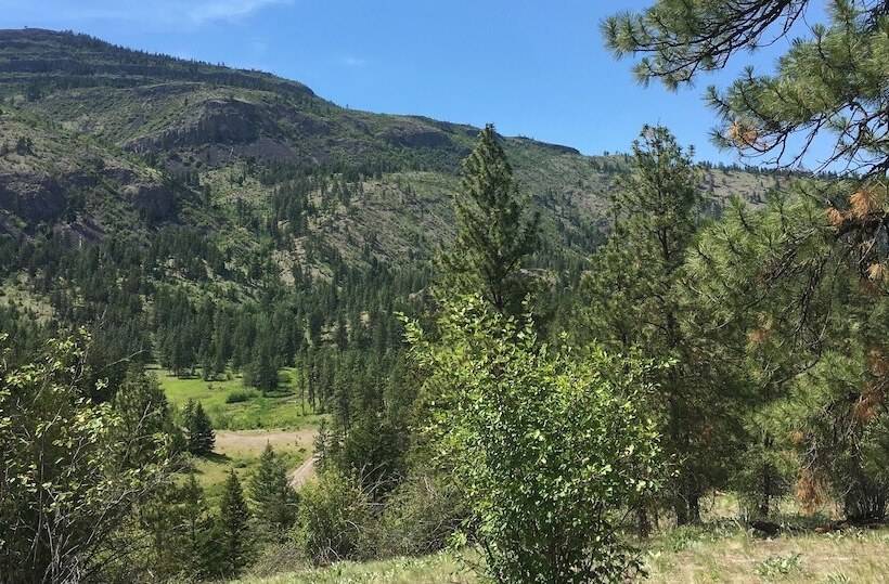 ベッドアンドブレックファースト Casa Colina