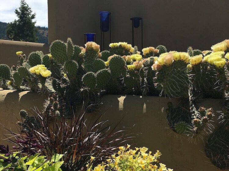 ベッドアンドブレックファースト Casa Colina