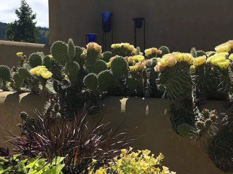 Aamiaismajoitus (B&B) Casa Colina