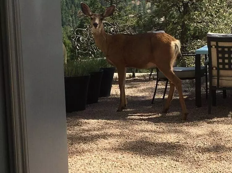 Aamiaismajoitus (B&B) Casa Colina