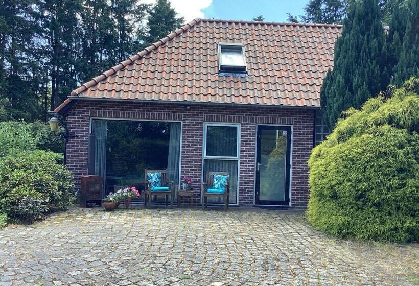 Bed & Breakfast De Haere