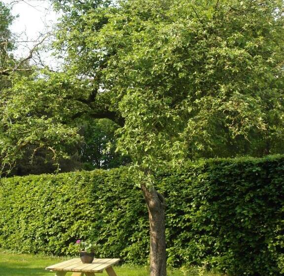 Bed & Breakfast De Haere