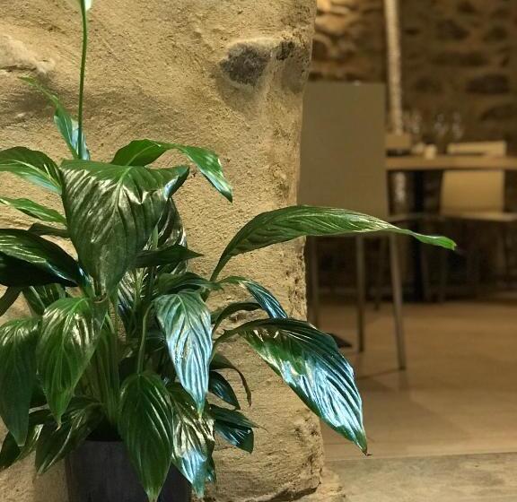 Donjon B&b E Ristorante