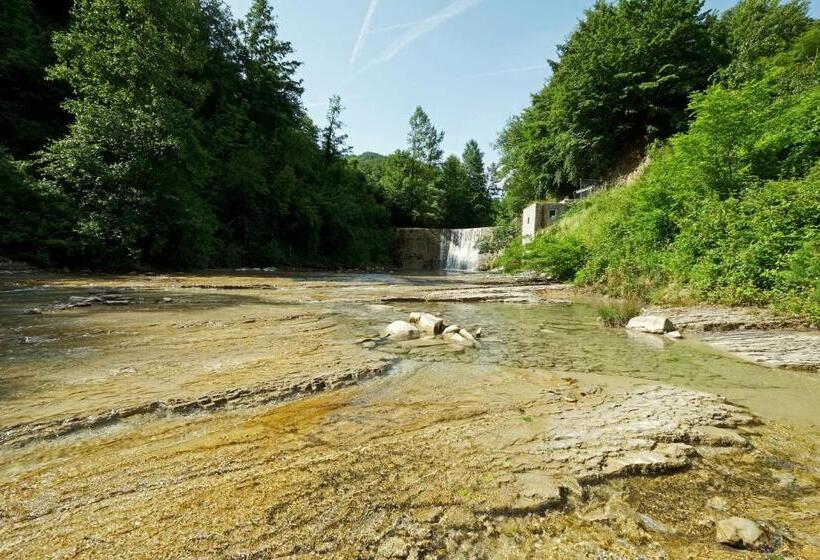 Отель Agriturismo Mulino Di Culmolle