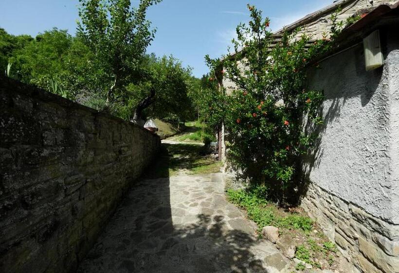 Отель Agriturismo Mulino Di Culmolle