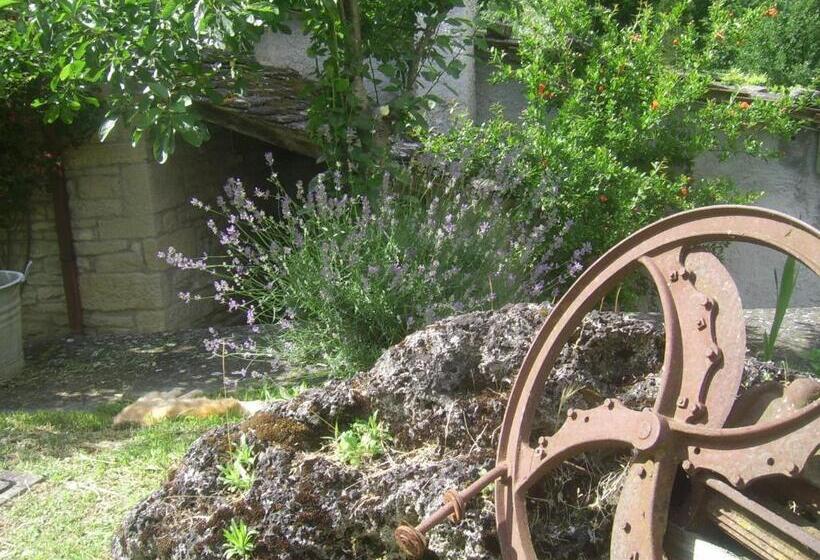 Отель Agriturismo Mulino Di Culmolle