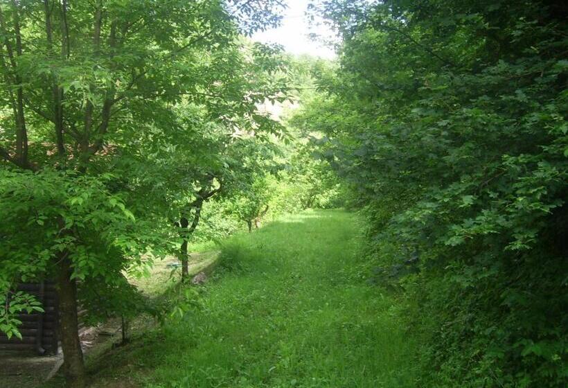 Отель Agriturismo Mulino Di Culmolle