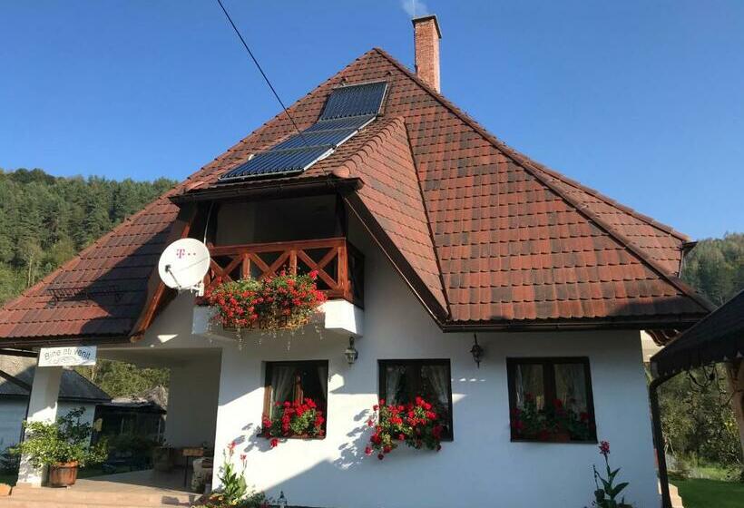 酒店 Pensiunea Dealul Cu Melci