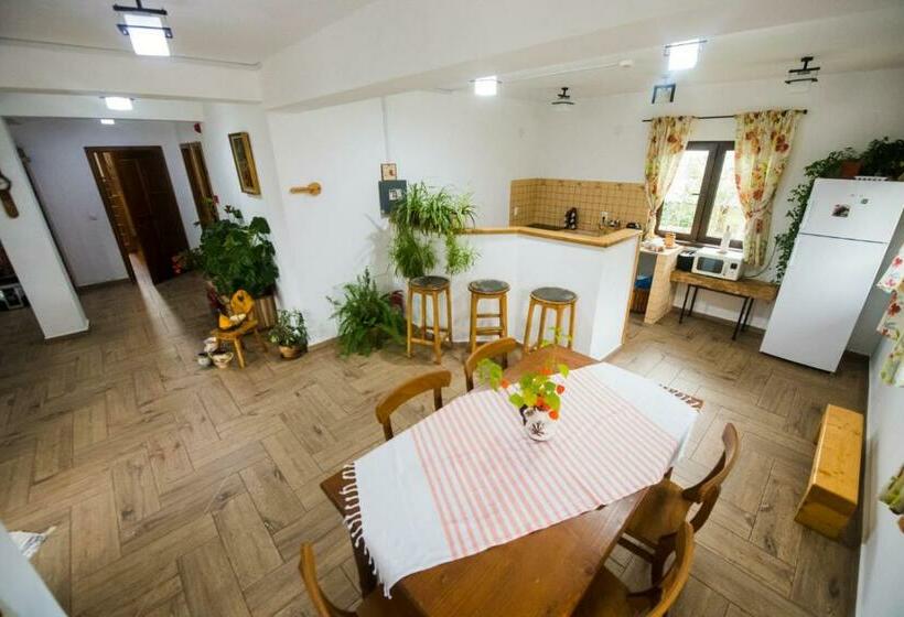 酒店 Pensiunea Dealul Cu Melci