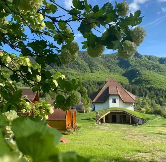 هتل Pensiunea Dealul Cu Melci