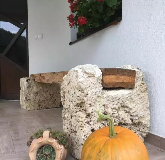 هتل Pensiunea Dealul Cu Melci