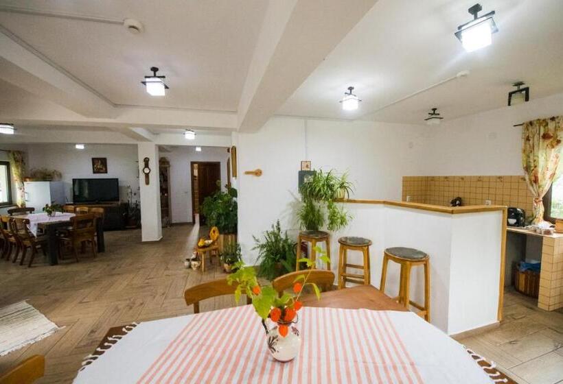 酒店 Pensiunea Dealul Cu Melci