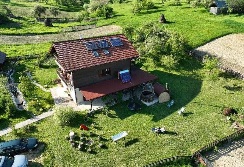 酒店 Pensiunea Dorel Codoban