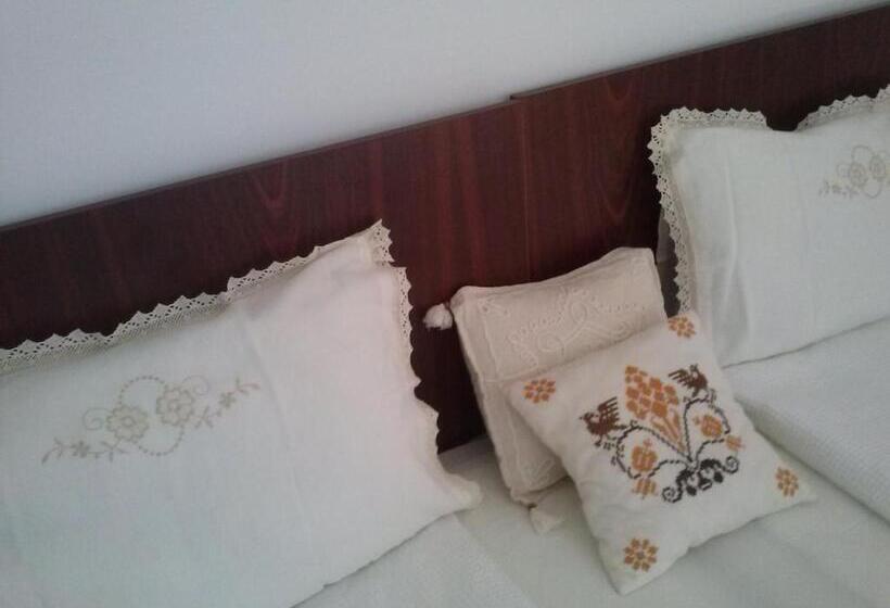 酒店 Pensiunea Dorel Codoban