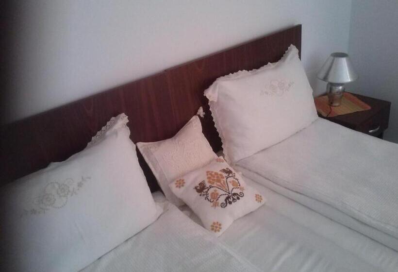 酒店 Pensiunea Dorel Codoban