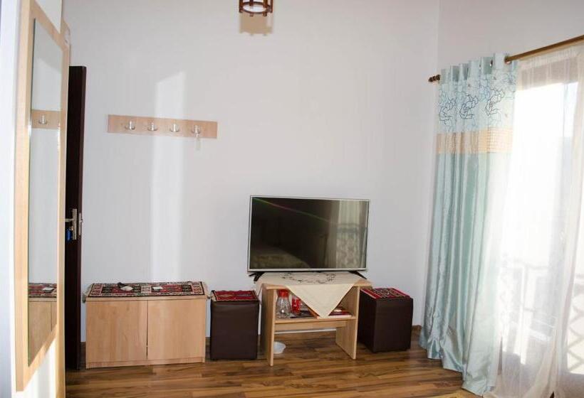 酒店 Pensiunea Dorel Codoban