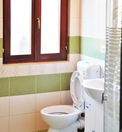 酒店 Pensiunea Dorel Codoban