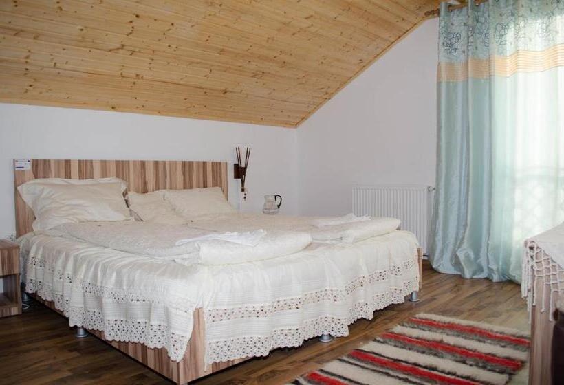 酒店 Pensiunea Dorel Codoban