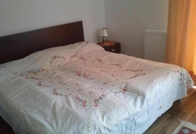 酒店 Pensiunea Dorel Codoban