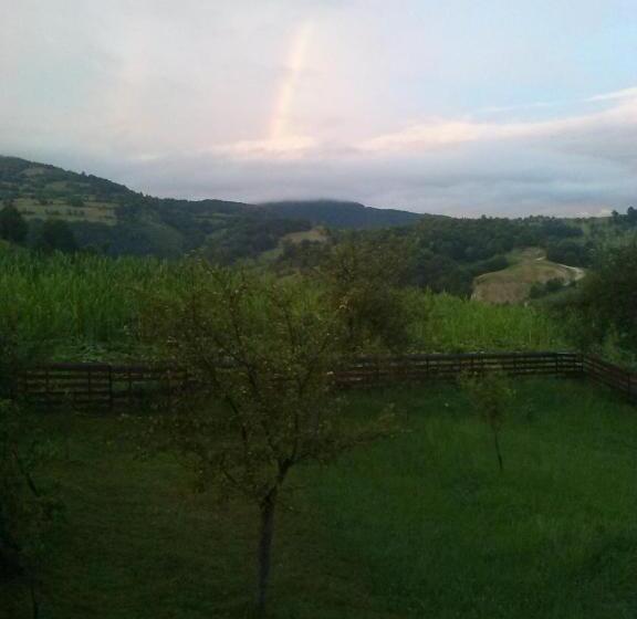 酒店 Pensiunea Dorel Codoban