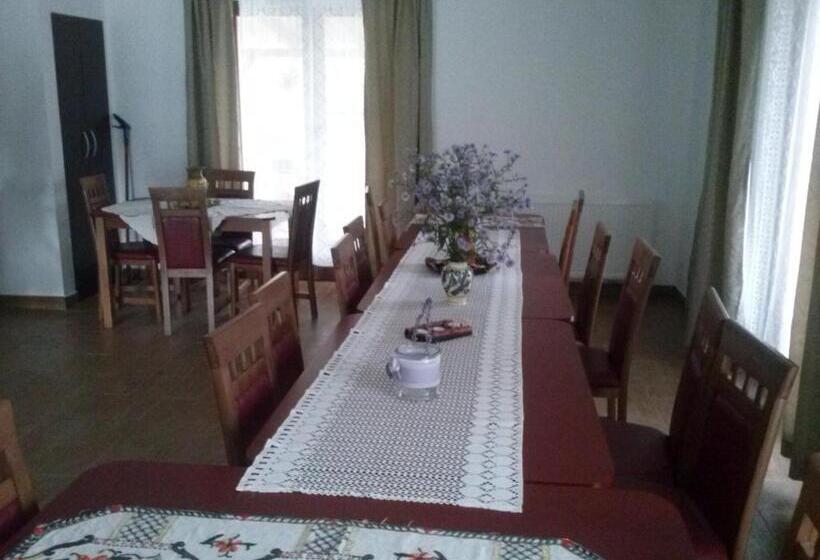 酒店 Pensiunea Dorel Codoban