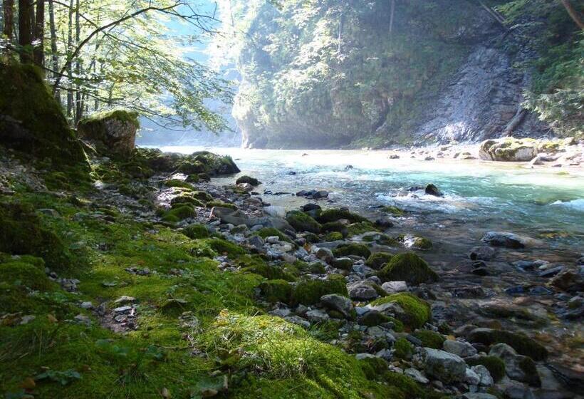 膳宿费 Gästehaus Daurer