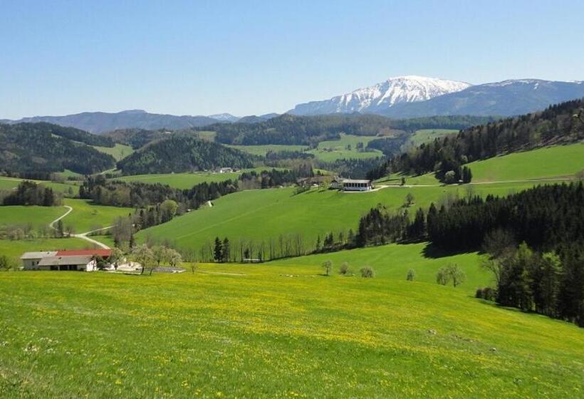 膳宿费 Gästehaus Daurer