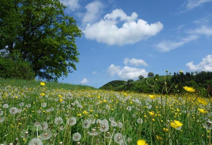 膳宿费 Gästehaus Daurer