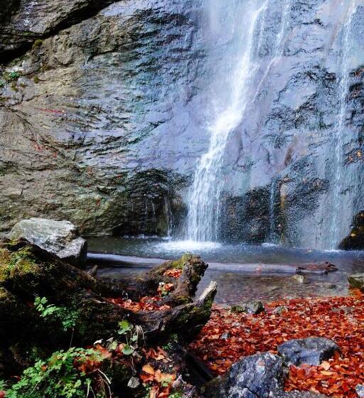 膳宿费 Gästehaus Daurer