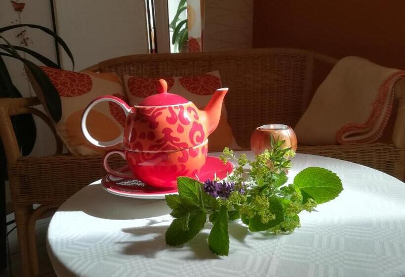 膳宿费 Gästehaus Daurer