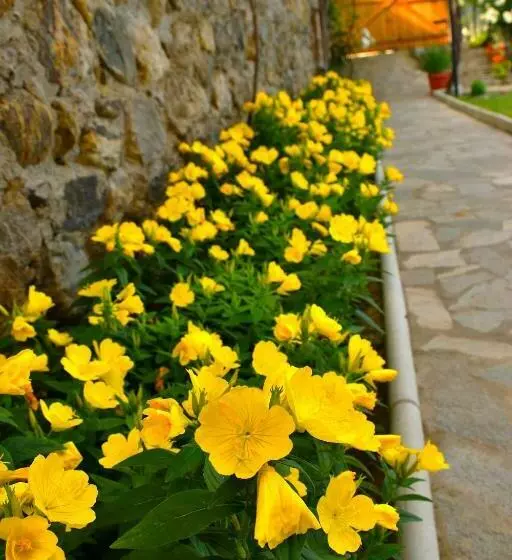 ペンション Guesthouse Argacho