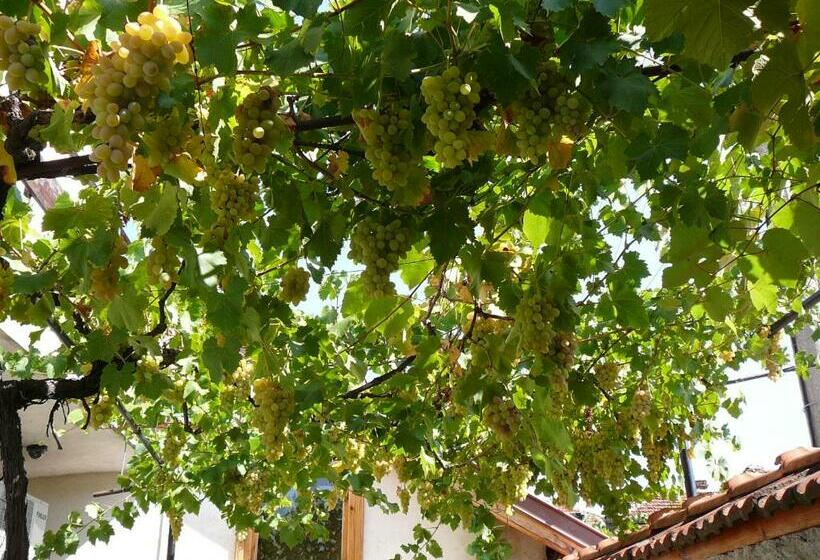 Pensjonat Guesthouse Argacho