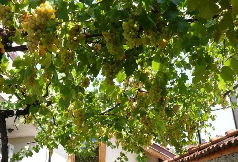 ペンション Guesthouse Argacho