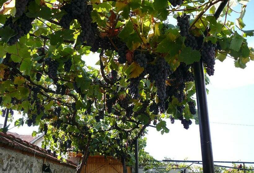 Pensjonat Guesthouse Argacho