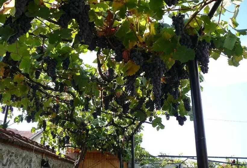 ペンション Guesthouse Argacho