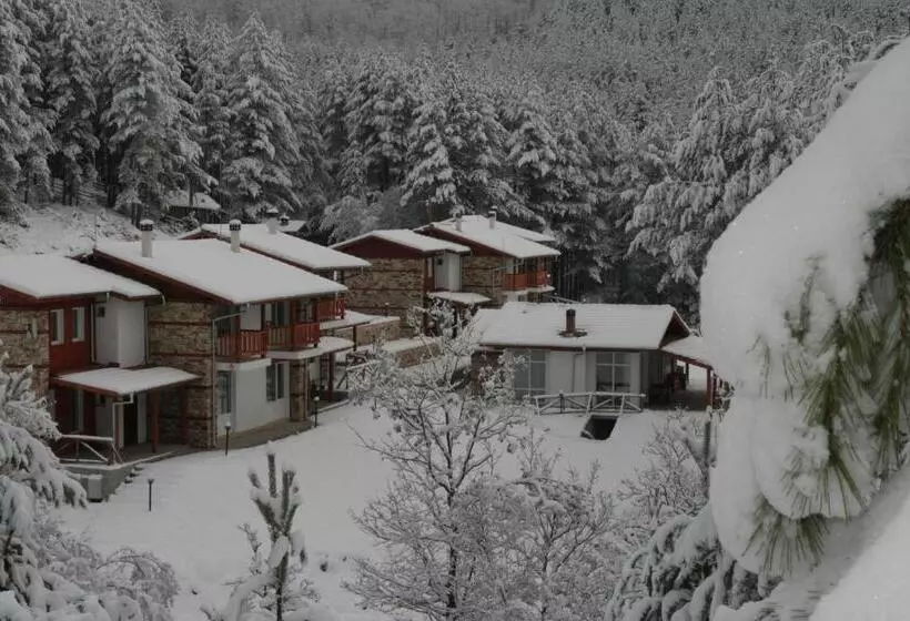ペンション Guesthouses Prav Kamen